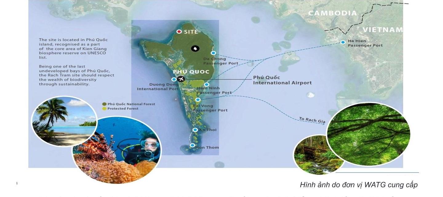 Địa hình nổi bật Forest Bay Phú Quốc