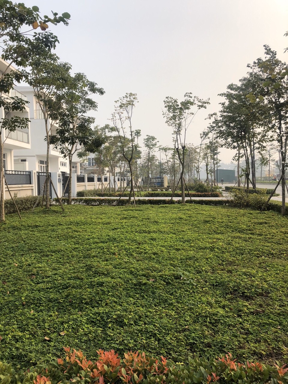 layoutcan-ban-biet-thu-starlake-tay-ho-tay-gia-re-gap-202032017449-1 Cần bán biệt thự Starlake Tây Hồ Tây giá rẻ gấp